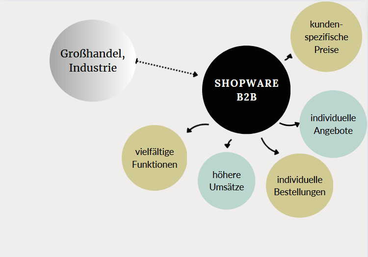 Shopware_6_B2B